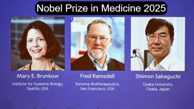 Nobel Prize in Medicine 2025